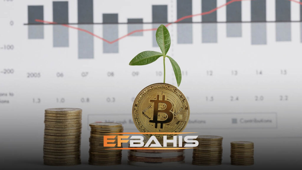 Efbahis kripto yatırımı